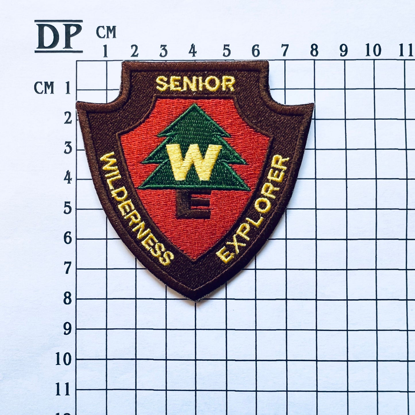 Up Movie Russell Costume Boy Scout Embroidered Sew On Iron On Patch Badge DIY Carl Fredricksen Disney Pixar Dug WE - Demogorgon Patches - DP