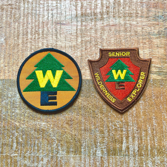 Up Movie Russell Costume Boy Scout Embroidered Sew On Iron On Patch Badge DIY Carl Fredricksen Disney Pixar Dug WE - Demogorgon Patches - DP