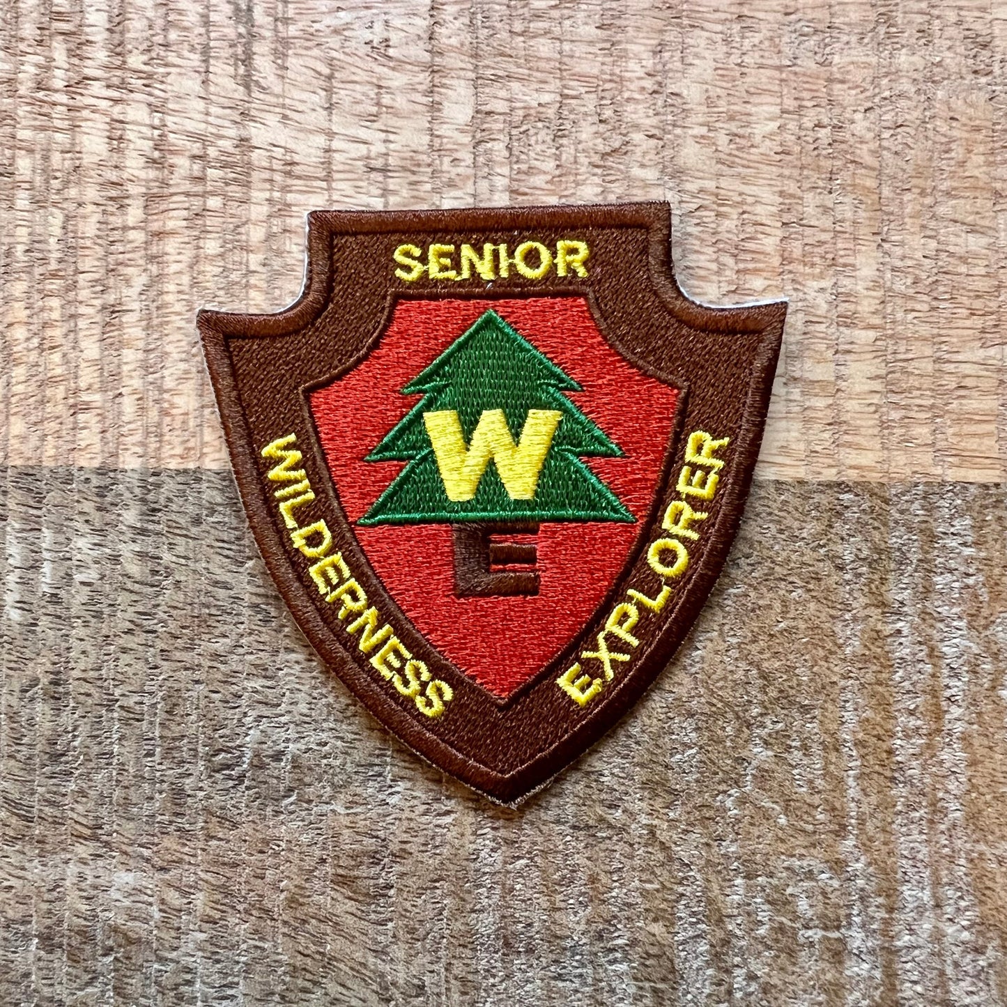 Up Movie Russell Costume Boy Scout Embroidered Sew On Iron On Patch Badge DIY Carl Fredricksen Disney Pixar Dug WE - Demogorgon Patches - DP