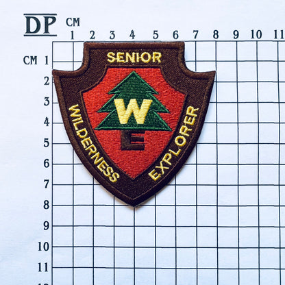 Up Movie Russell Costume Boy Scout Embroidered Sew On Iron On Patch Badge DIY Carl Fredricksen Disney Pixar Dug WE - Demogorgon Patches - DP