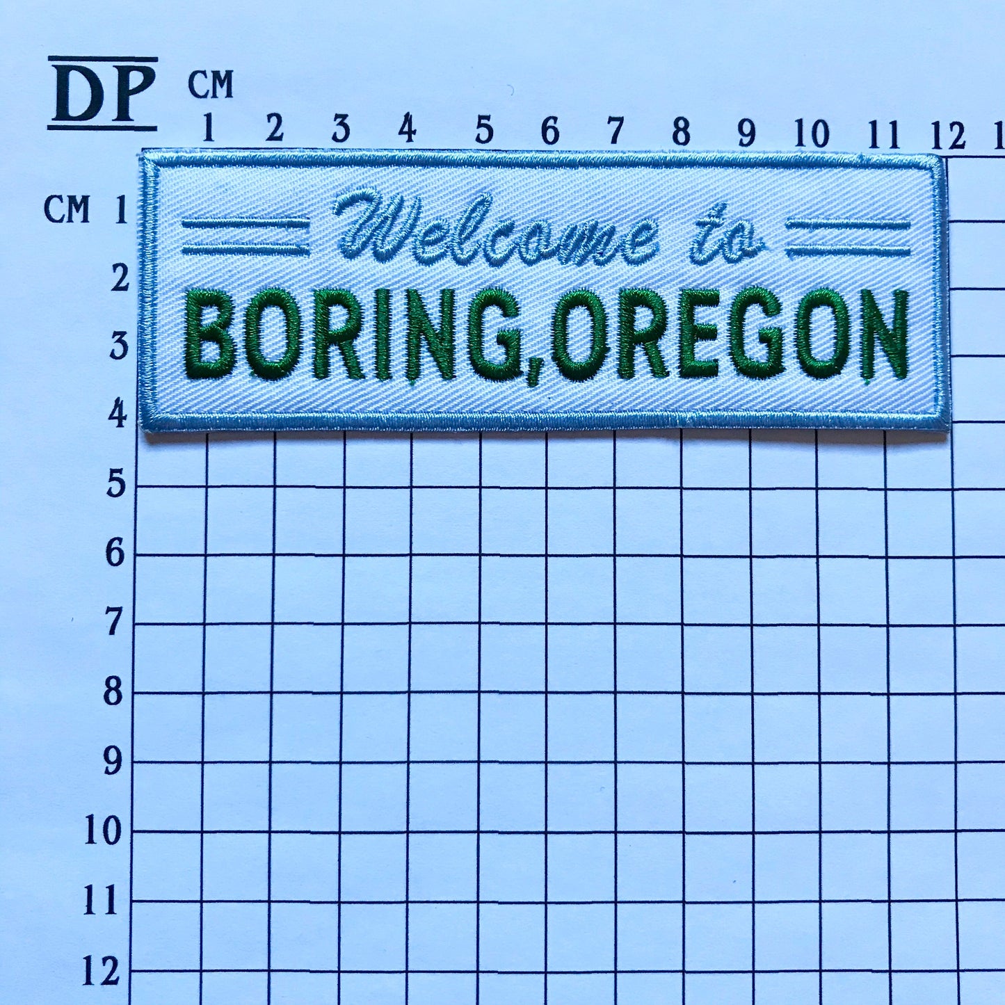 Everything Sucks Welcome To Boring Oregon Embroidered Sew On Iron On Patch Badge Parche DIY Costume - Demogorgon Patches - DP